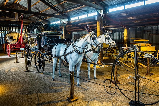 9 Best Historical Tours In Cairns and the Tropical North