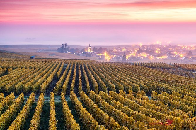 Epernay (World Capital Of Champagne) - Private Trip - Good To Know