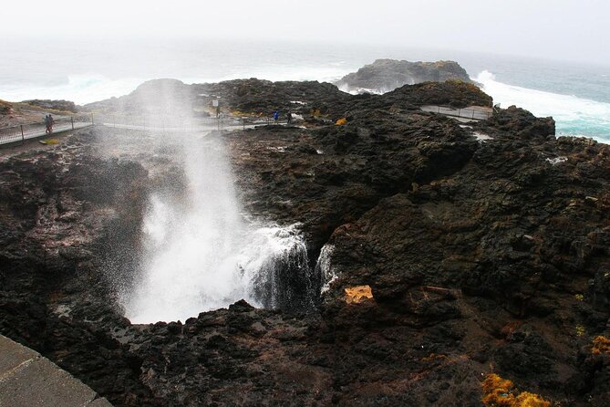 Erupting Blowholes and Ancient Rainforests SOUTH COAST OF SYDNEY PRIVATE TOUR - Good To Know