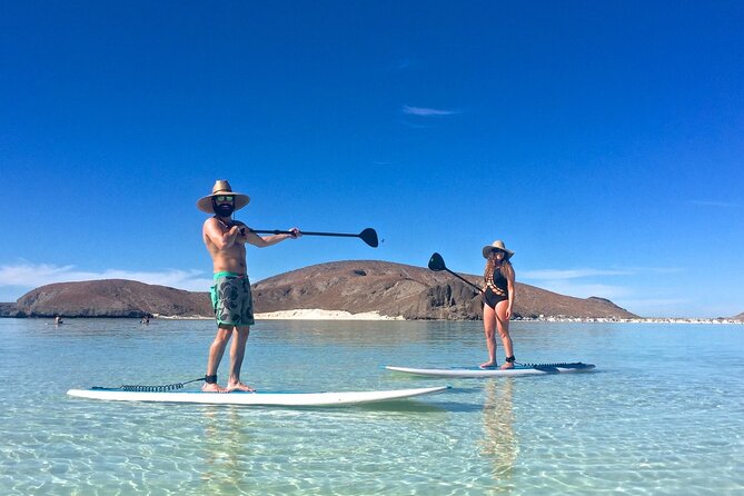 Espiritu Santo Island Combo: Sea Lions and Paddleboard 1 to 6 Private Group - Overview and Location