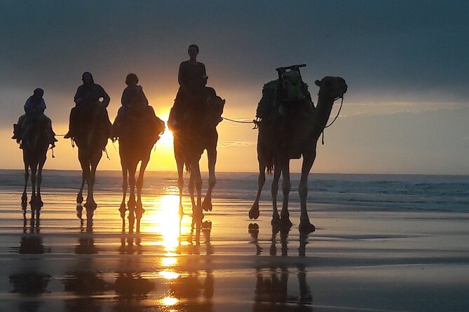 4 Best 1 Hour Tours and Experiences in Essaouira