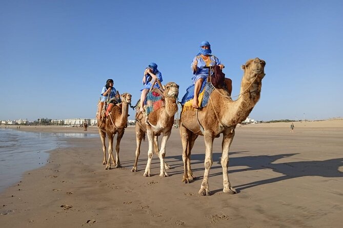 Essaouira: an Unforgettable 2 Hour Ride on a Camel