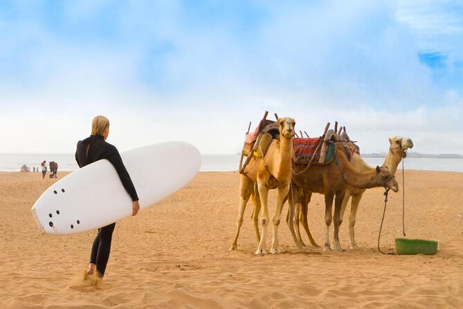 Essaouira Day Trip From Marrakech Including Surf Training - Good To Know