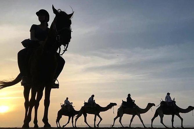 Essaouira Dromedary Camel or Horse Ride