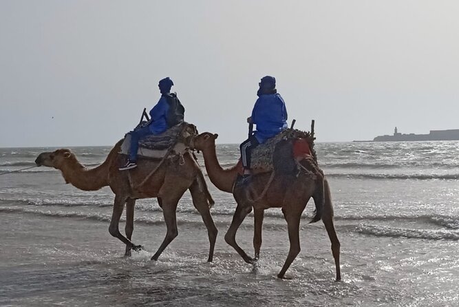 Essaouira Private Camel Ride (1 Hour). - Inclusions in the Private Camel Ride