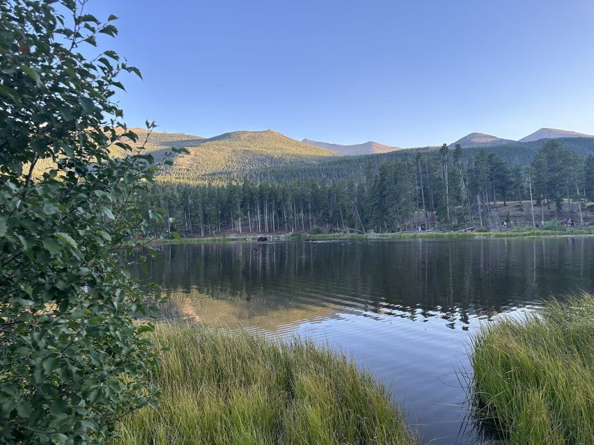Estes Park: Rocky Mountain Retractable Glass-Top Guided Tour