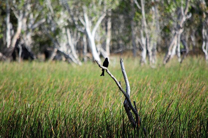 ETHICAL ADVENTURES - 1 Day Premium Litchfield Tour, Max 10 Guests - Good To Know