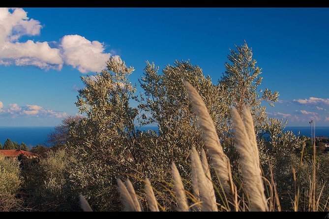 Etna Volcanic Yoga and Meditation Weekend (Private Experience) - Good To Know
