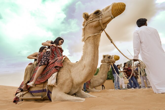 Evening Desert Safari Dubai With BBQ Dinner & Shows - Good To Know