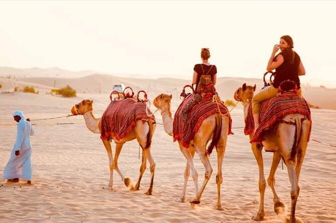 Evening Desert Safari With BBQ Dinner & Camel Riding - Good To Know