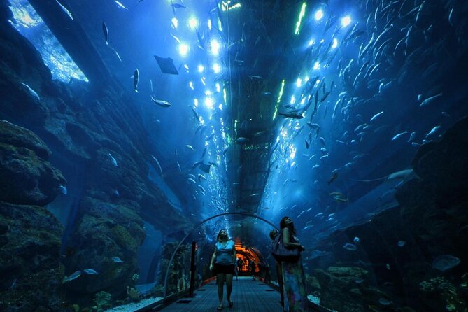 Evening Desert Safari With Buffet Dinner & Dubai Aquarium Tickets