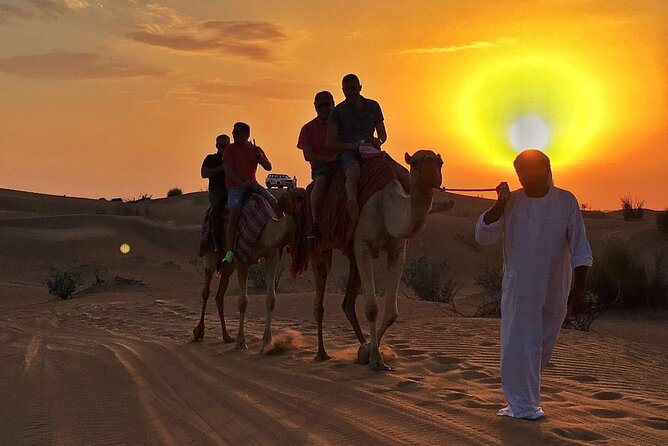 Evening Desert Safari:Dune Bashing, Camel Ride, Live Shows, BBQ Dinner & More - Good To Know