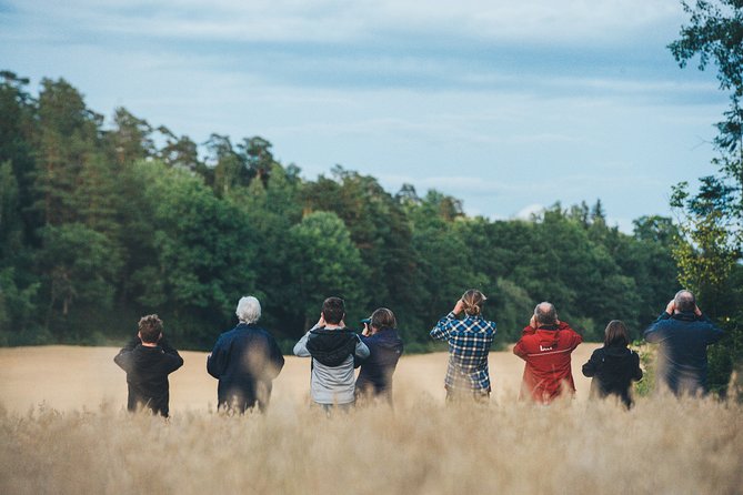 5 Best Safari Tours In Stockholm