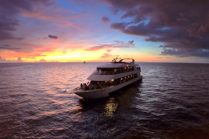 Evening Yacht Cruise With Optional Dining in St. Petersburg - Good To Know