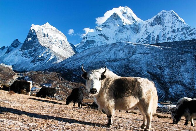 Everest Base Camp Trek With Helicopter Return From Gorakshep to Lukla