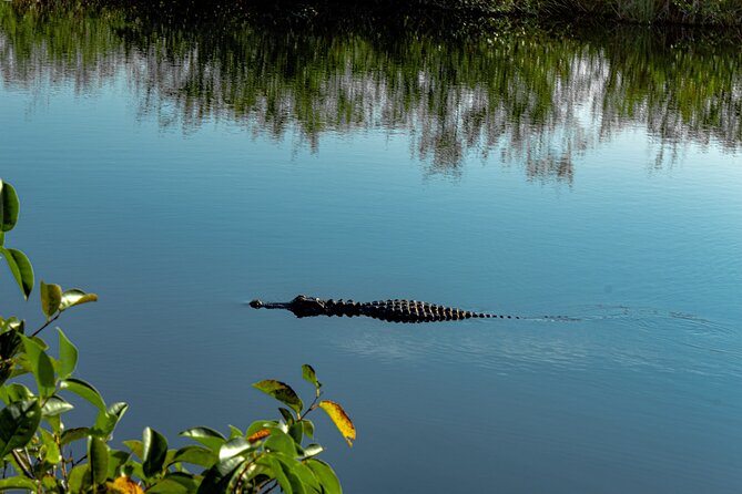 Everglades Airboat, Wildlife Experience With Roundtrip Transfer - Tour Duration and Highlights
