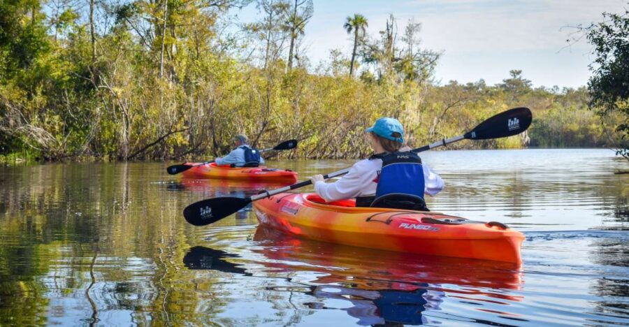 Everglades City: Guided Kayaking Tour of the Wetlands