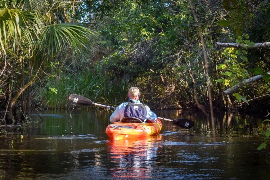 Everglades: Guided Kayak, Airboat Tour, and Alligator Show - Good To Know