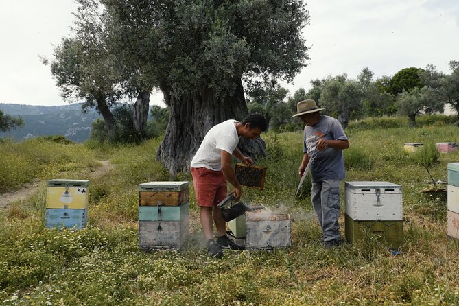 Evia Beekeeping Experience From a Local Beekeeper in Konistres - Good To Know