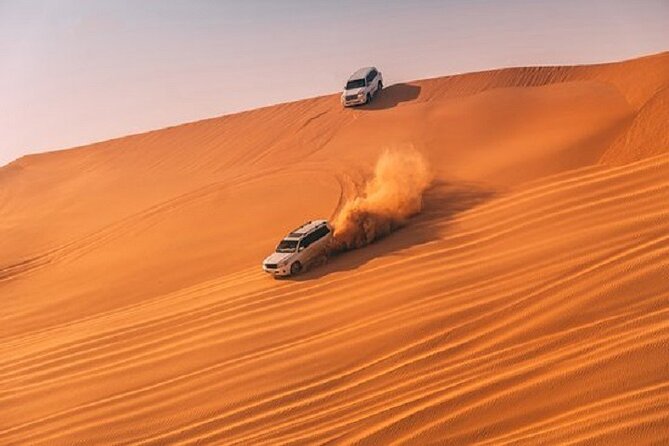 Exclusive Desert Safari Experience - Private Vehicle - Good To Know