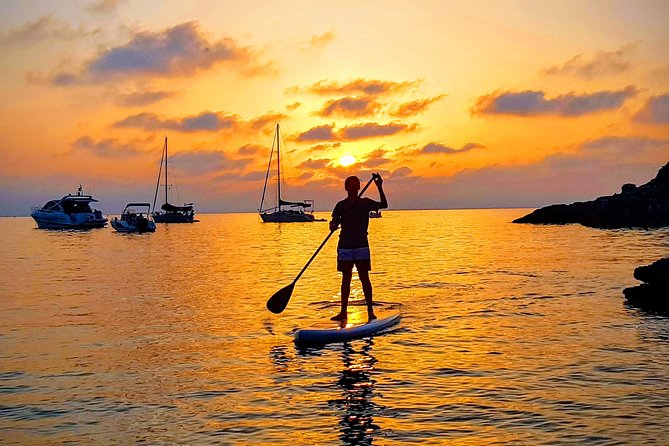 Exclusive Paddle Board Around Porquerolles and Giens - Transfer by Boat.