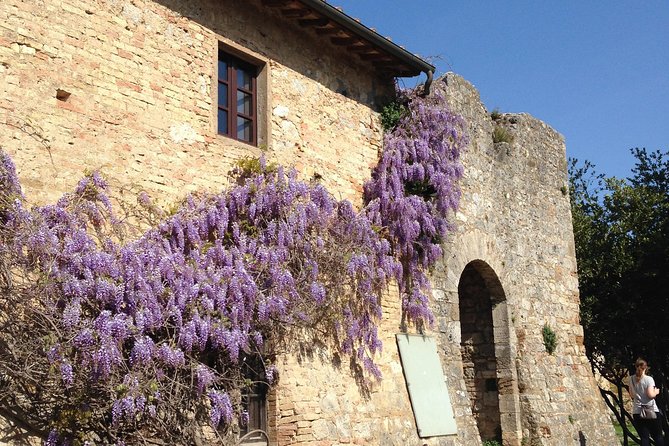 Exclusive Private Tour to Siena and San Gimignano - Good To Know