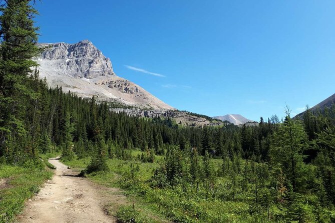 Exclusive Skoki Backcountry Guided Hiking in Lake Louise With Van Shuttle - Overview and Features