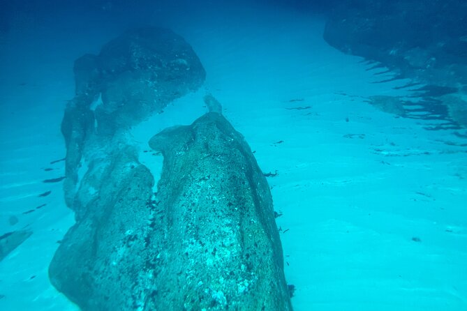 Exclusive Tour Favignana Levanzo - Good To Know