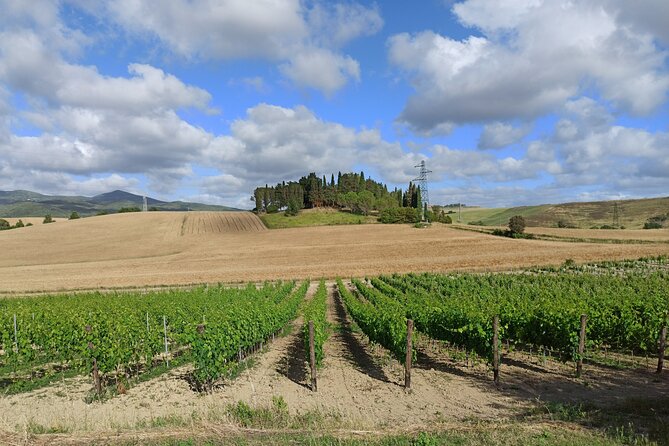 EXCLUSIVE Wine Tour in Chianti & San Gimignano (Lunch & Wine Tasting Included) - Tour Overview and Details