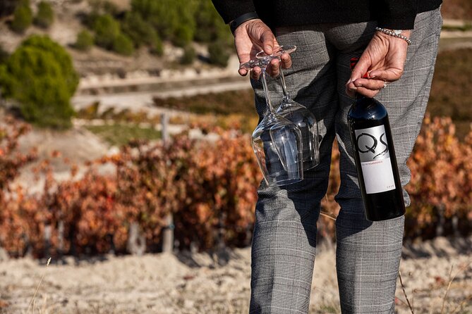 5 Best Wine Tours In Castile and Leon