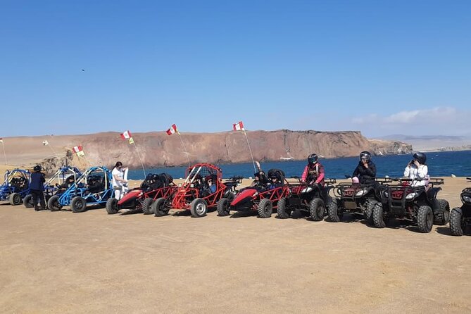 Excursion in Minibuggys in Paracas National Reserve