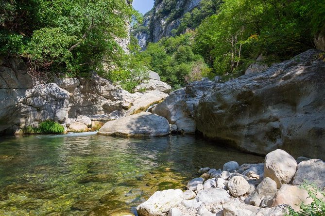 5 Best Private Car With Driver Services in Nice