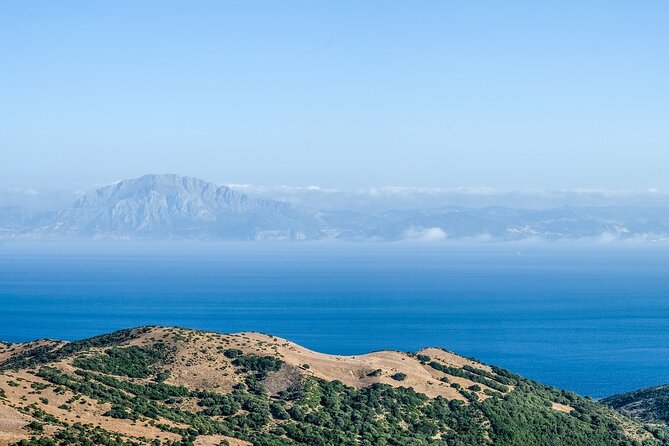 Excursion to Gibraltar With Rock Tour From Malaga - Inclusions