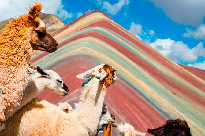 Excursion to Rainbow Mountain From Cusco Full Day. - Good To Know