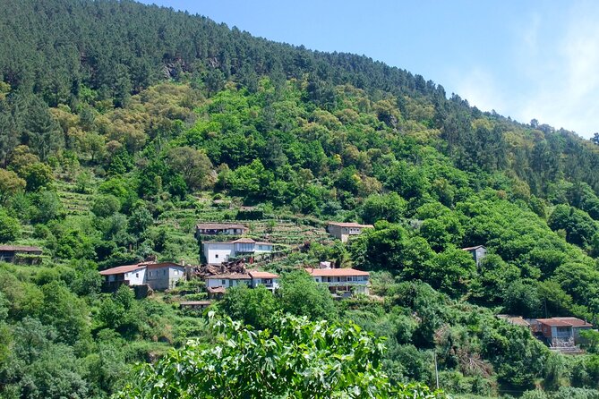 Excursion to Ribeira Sacra With Boat From Santiago De Compostela - Scenic Beauty of Ribeira Sacra