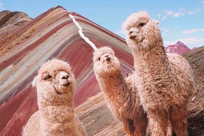 Excursion to the Rainbow Mountain Vinicunca - Good To Know