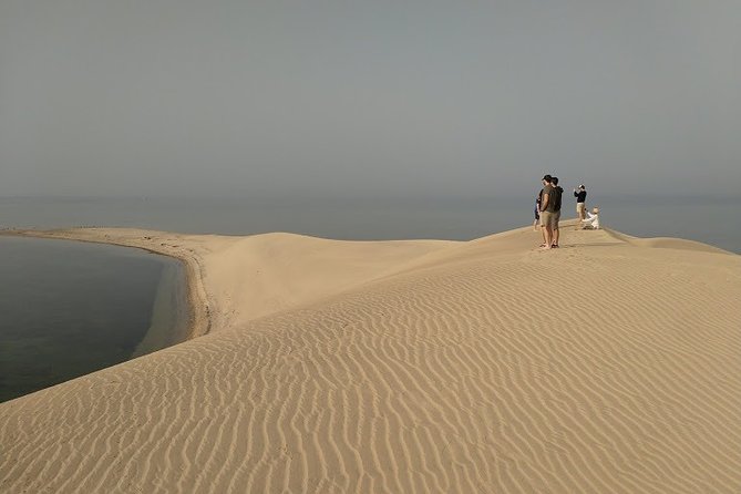 Excursions And Discovery