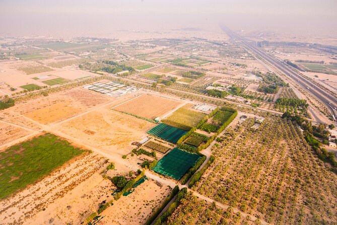 Exotic Sunrise With Balloon Flights in Dubai - Good To Know