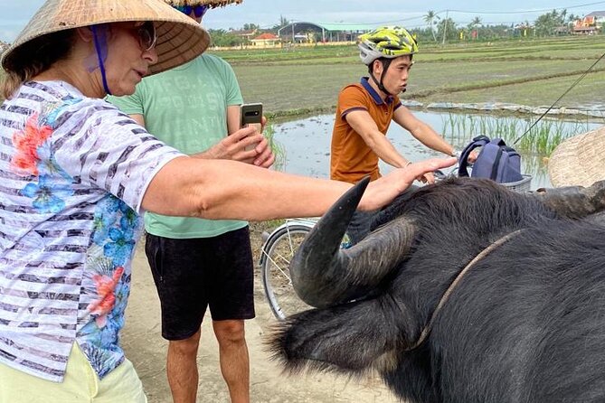Experience Buffalo Ride and Farmer in Hoi An - Good To Know