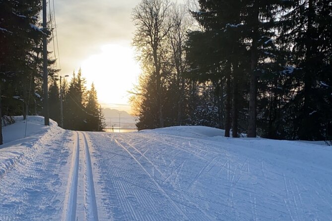 Experience Cross-Country Adventure in Tromsø