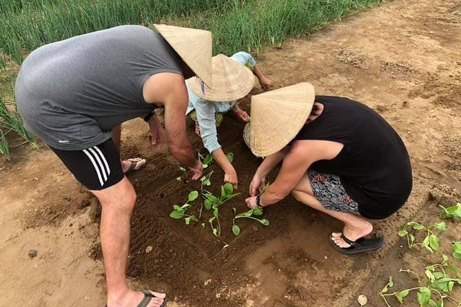 Experience Hoi an Rural Eco Tour From Da Nang or Hoi an City - Overview and Experience