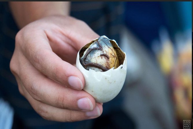 Experience Street Local Food Tour Hoi An - Good To Know