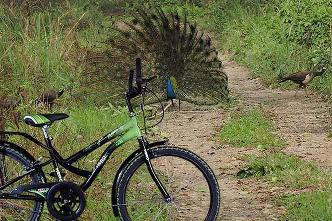 Experience the Ride in Lowlands of Nepal - Good To Know