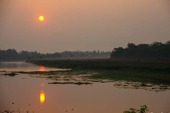 Experience the Thrill of the Wild: Chitwan Jungle Safari( 2N3D)