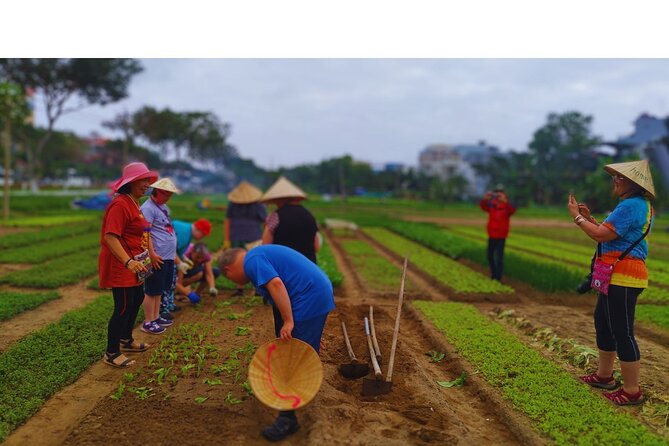 Explore City, Market & Garden, Authentic Cooking Culinary Artisan