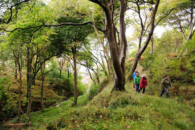 Explore Connemara National Park. Self-Guided With Transport From Galway - Overview of Connemara National Park