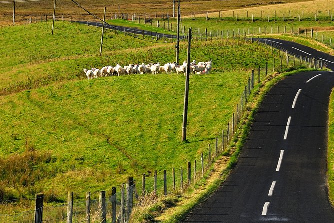 Explore Connemara National Park - Self-Guided - Overview of Connemara National Park