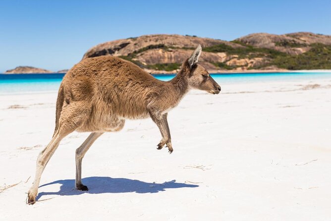 Explore Highlights Esperance 2 Hour Guided Tour