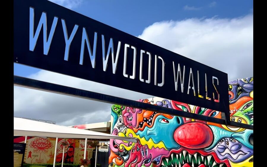 Explore in the Vibrant Art Scene of Wynwood Art Private Tour - Good To Know