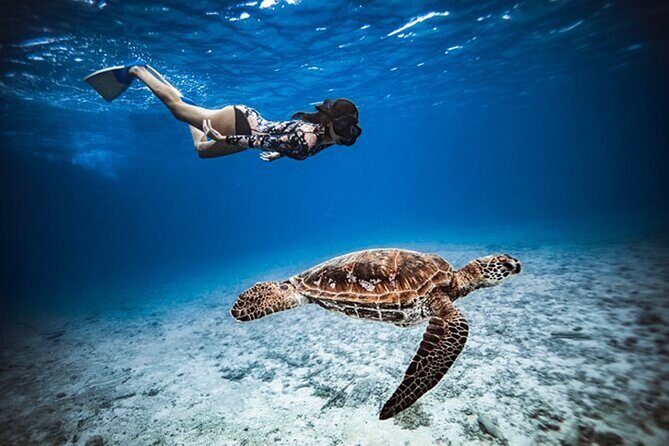 Explore Moorea by Private Boat